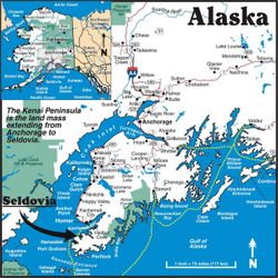 Kenai Skaginn  Alaska